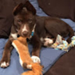 Meet your Posher, Ava